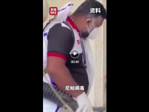 关注|75%致死率、无特效药!带你了解尼帕病毒→